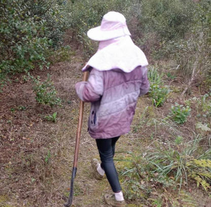 海角社区.和妈妈上山干活的第二天野战成功拿下老妈